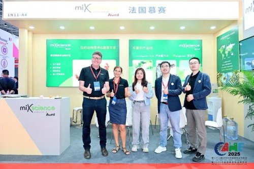 1766476558-b856375a167b577 1766476558-b856375a167b577