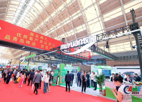 1766476555-8d8d2e96ebbc21c 1766476555-8d8d2e96ebbc21c