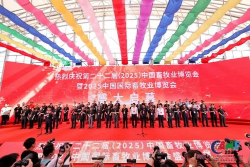 1766476554-c8159ee0536ddc1 1766476554-c8159ee0536ddc1