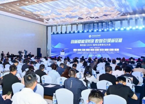 1766476559-1935aadda68aca0 1766476559-1935aadda68aca0