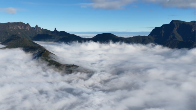 1770721812-56a37576462c164 1770721812-56a37576462c164