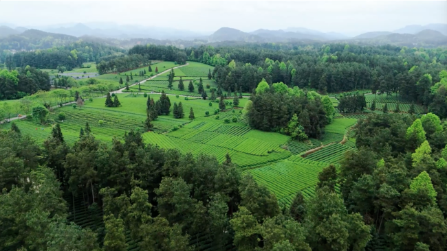 1770721816-e66f46a9dc2af12 1770721816-e66f46a9dc2af12