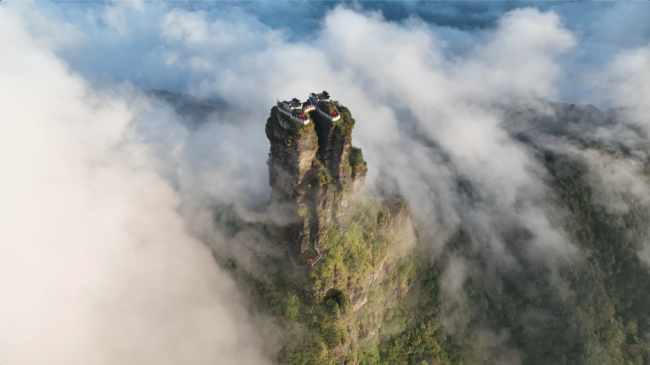 1770721813-2d0c55e2d3a311a 1770721813-2d0c55e2d3a311a