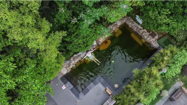 1770721816-e6a207d4d8c47f2 1770721816-e6a207d4d8c47f2